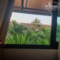 фото из отзыва ID 2105012