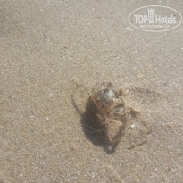 фото из отзыва ID 2104750