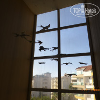 фото из отзыва ID 2104916