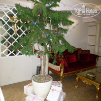 фото из отзыва ID 2104916