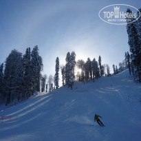 фото из отзыва ID 2105108