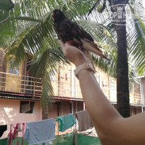 фото из отзыва ID 2105216