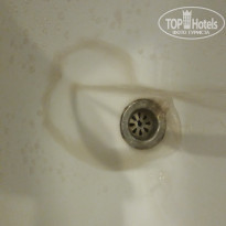 фото из отзыва ID 2104395