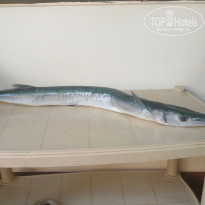 фото из отзыва ID 2105216