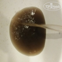 фото из отзыва ID 2104395