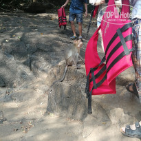 фото из отзыва ID 2105216