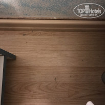 фото из отзыва ID 2105323