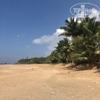 фото из отзыва ID 2105335