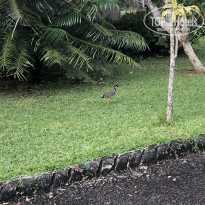 фото из отзыва ID 2105335