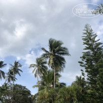 фото из отзыва ID 2105335