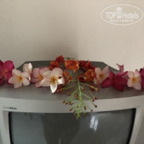 фото из отзыва ID 2105335