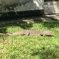 фото из отзыва ID 2105335