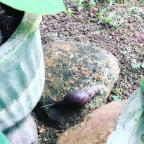 фото из отзыва ID 2105335