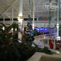 фото из отзыва ID 2105347