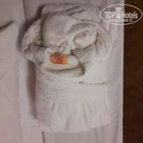 фото из отзыва ID 2105363