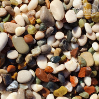 фото из отзыва ID 2102318