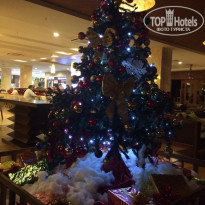 фото из отзыва ID 2105408