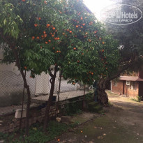 фото из отзыва ID 2105408