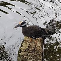 фото из отзыва ID 2105430