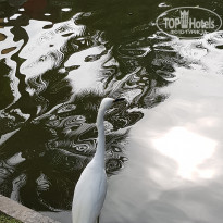 фото из отзыва ID 2105430