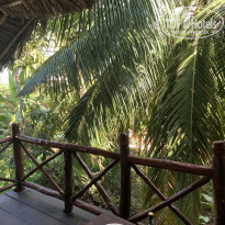 фото из отзыва ID 2105526