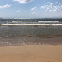 фото из отзыва ID 2105610