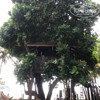 фото из отзыва ID 2105610