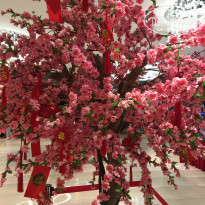 фото из отзыва ID 2105761