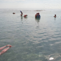 фото из отзыва ID 2105455