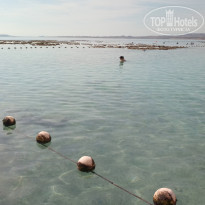 фото из отзыва ID 2105455