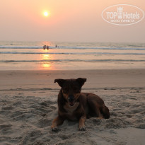 фото из отзыва ID 2105792