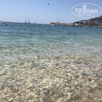 фото из отзыва ID 2105617