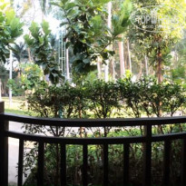 фото из отзыва ID 2105756