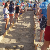 фото из отзыва ID 2105682