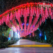 фото из отзыва ID 2105828