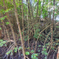 фото из отзыва ID 2105828