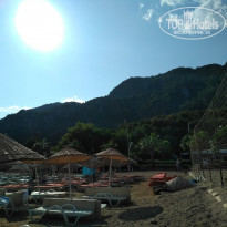 фото из отзыва ID 2105819