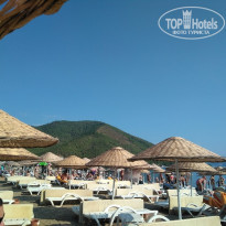 фото из отзыва ID 2105819