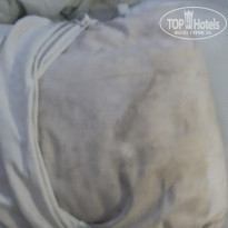 фото из отзыва ID 2105936