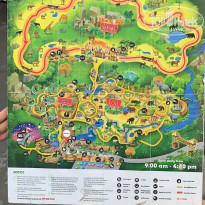 фото из отзыва ID 2106029