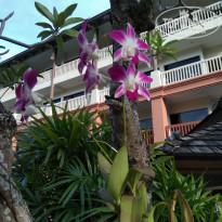 фото из отзыва ID 2106060