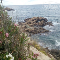 фото из отзыва ID 2106063