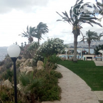 фото из отзыва ID 2106063