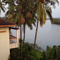 фото из отзыва ID 2106082