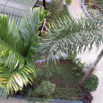 фото из отзыва ID 2106082