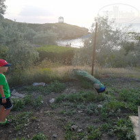 фото из отзыва ID 2106093