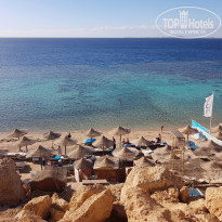 фото из отзыва ID 2106101