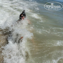 фото из отзыва ID 2106154