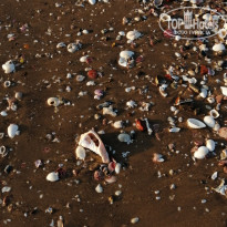 фото из отзыва ID 2106154