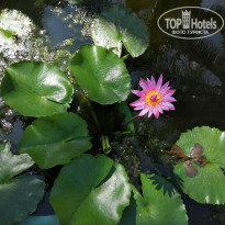 фото из отзыва ID 2106154